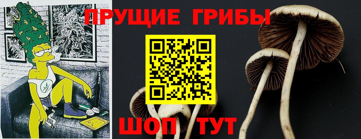 Галлюциногенные грибы Cubensis  Вход с VPN  Асино  Галлюциногенные грибы Psilocybe 